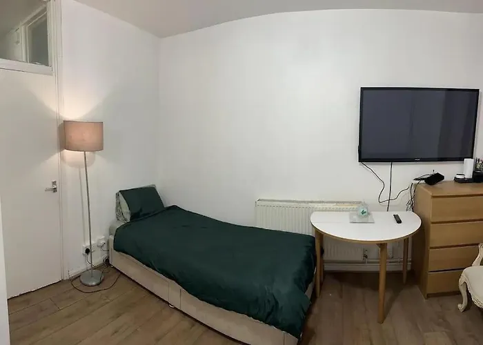 Small Studio Apartment - Quick Access To All Of London